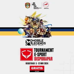 Tournament E-sport Disporapar 2024