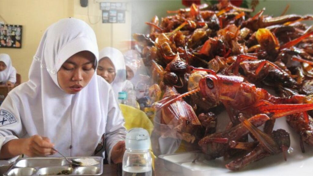 Serangga Jadi Alternatif Protein di Program Makan Bergizi Gratis