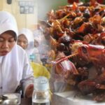 Serangga Jadi Alternatif Protein di Program Makan Bergizi Gratis