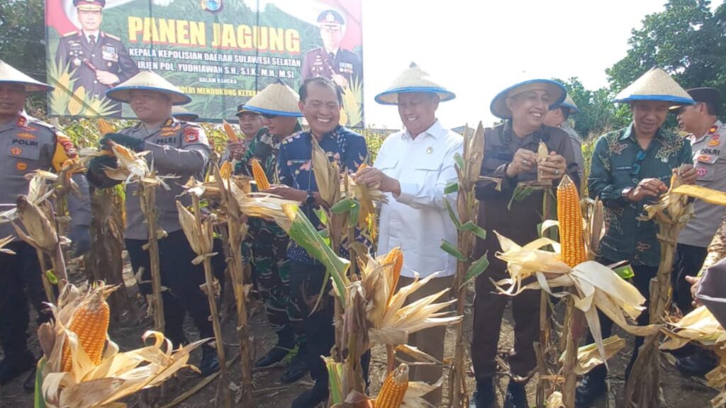 Ketua DPRD Wajo Dukung Program Ketahanan Pangan Melalui Panen Jagung Serentak