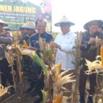 Ketua DPRD Wajo Dukung Program Ketahanan Pangan Melalui Panen Jagung Serentak