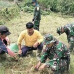 TNI dan Masyarakat Bersatu Hijaukan Luwu Utara dengan Pinus dan Mahoni