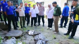 Buaya 4 Meter yang Meresahkan Warga Barru Akhirnya Diserahkan ke KSDA