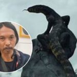 Rejo Arianto, Seniman di Balik Patung Biawak yang Bikin Heboh Warganet