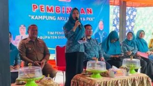 Ketua TP PKK Sidrap Lakukan Pembinaan Langsung ke Desa Dongi