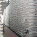 Produksi Beras Nasional Melonjak 14,49 Persen, BPS Catat Rekor Tertinggi Sejak Awal Tahun