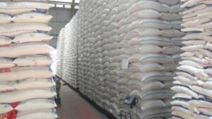 Produksi Beras Nasional Melonjak 14,49 Persen, BPS Catat Rekor Tertinggi Sejak Awal Tahun