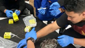 Ledakan Bom Ikan Guncang Rumah Warga Bulukumba, Tim Jibom Temukan Bahan Peledak Rakitan