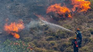 Kebakaran Hutan dan Lahan Sulsel Meluas, Pinrang Terdampak Terparah