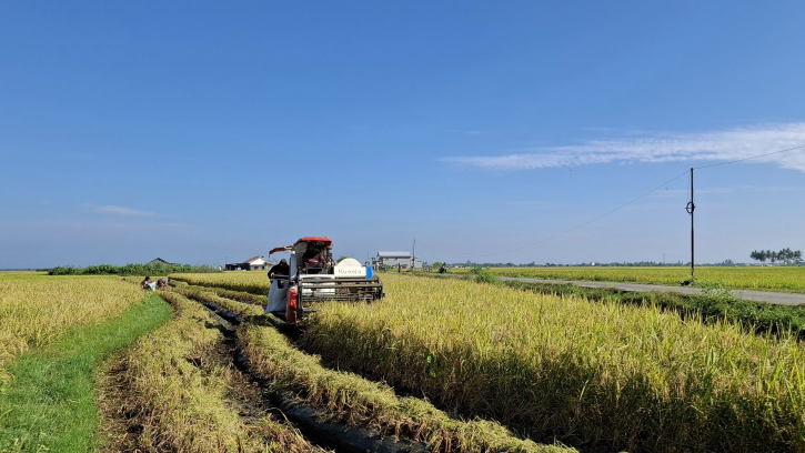 Bulog Ingatkan Mitra Tidak Boleh Beli Gabah di Bawah HPP