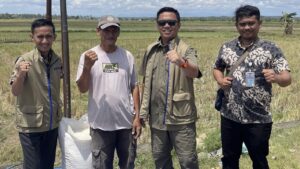 Cegah Penurunan Harga, Bulog Wajo Bentuk Tim Khusus Pantau Harga Gabah