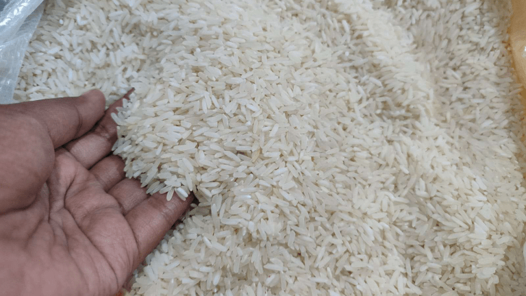 Wajo Jadi Penghasil Beras Terbesar Kedua di Sulawesi Selatan, Produksi Capai 423 Ribu Ton Sepanjang 2025